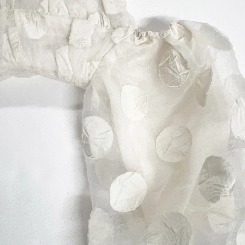 Zara Womens Bloggers Fave Cream Rose Petal Balloon Sleeve Cropped Top Size XS